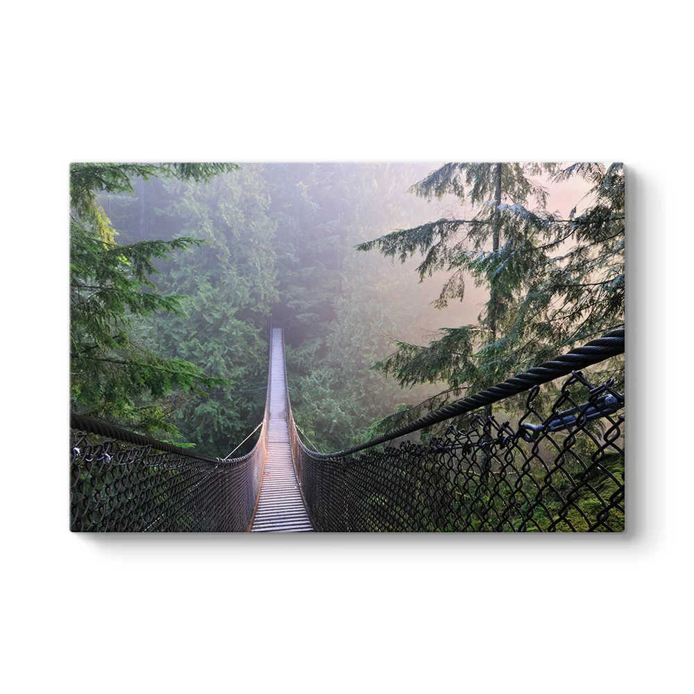 Kanada Lynn Canyon Park Tablosu - Model 1